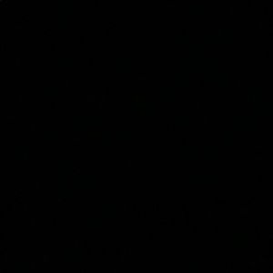 Meet your Posher, Jackson